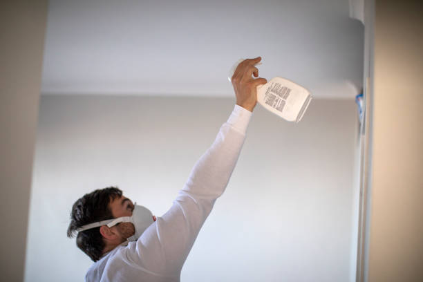 Best Affordable Mold Removal  in Roxana, IL