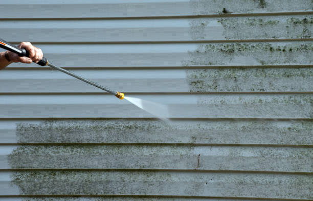 Best Mold Cleaning Services  in Roxana, IL