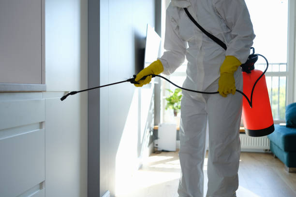 Best Home Mold Removal  in Roxana, IL