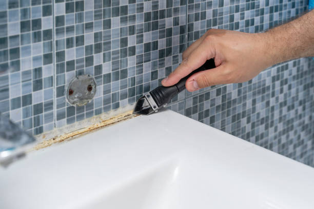Best Professional Mold Removal  in Roxana, IL